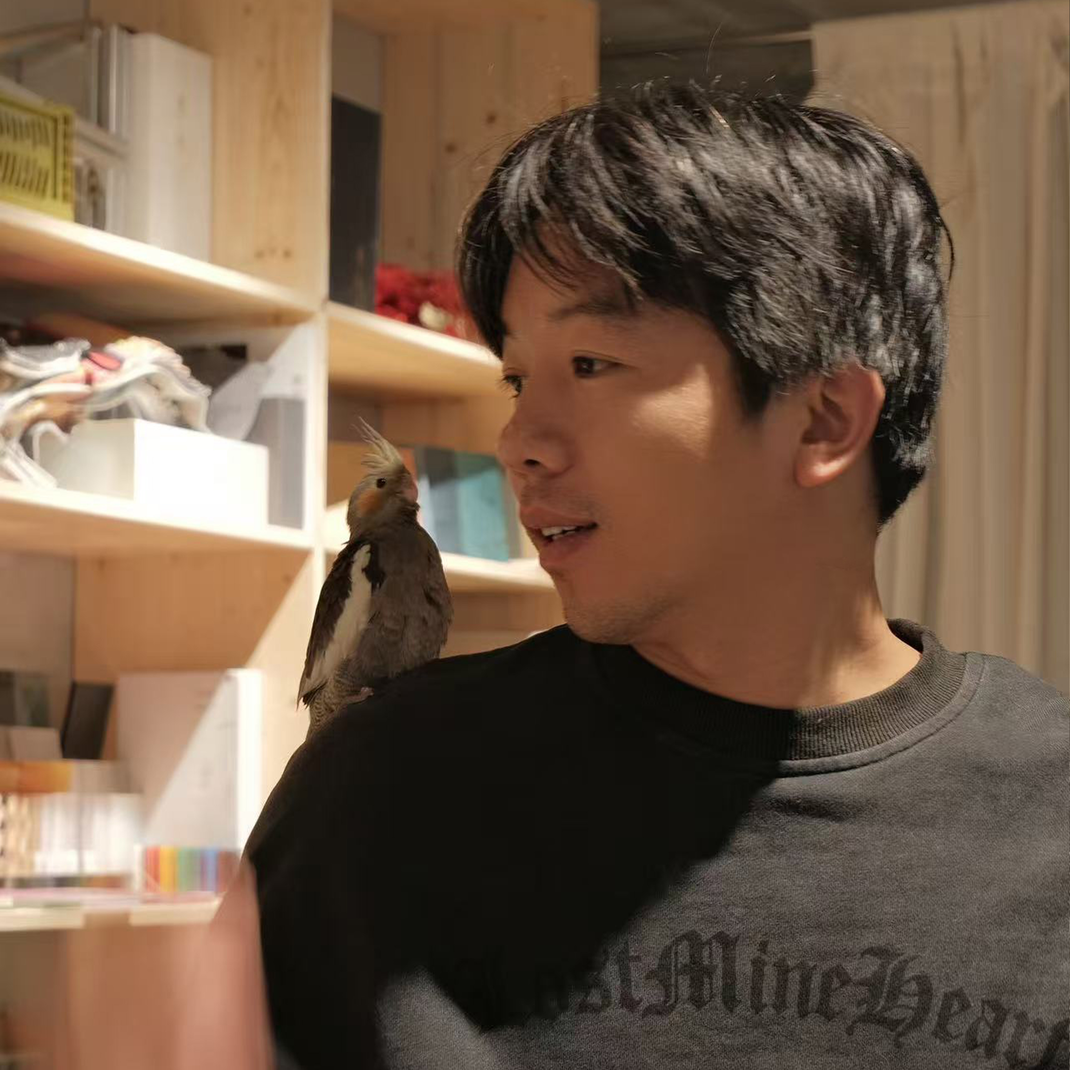 陆朋